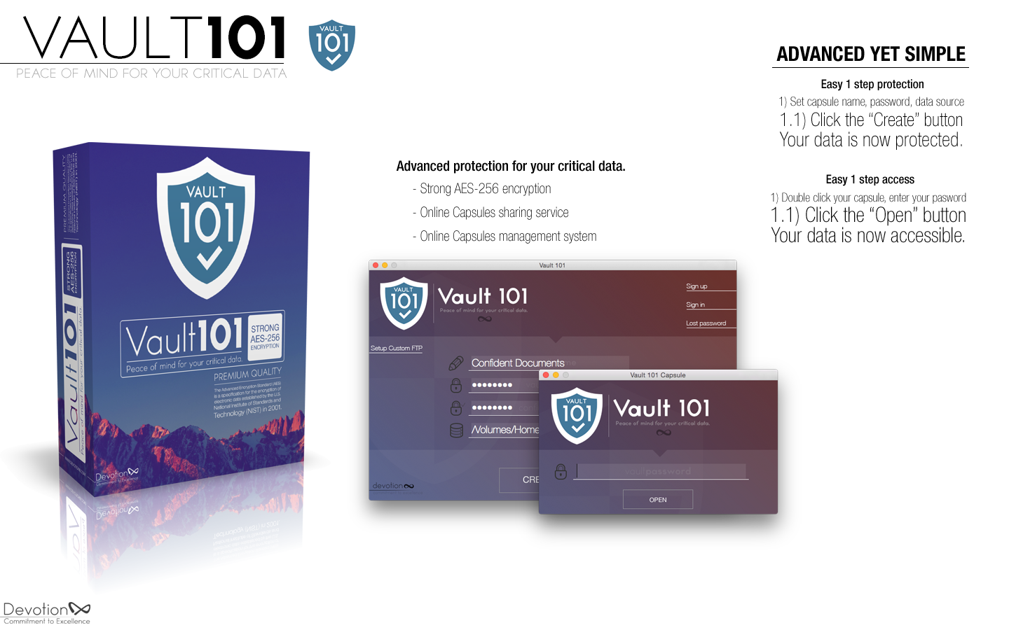 Vault 101